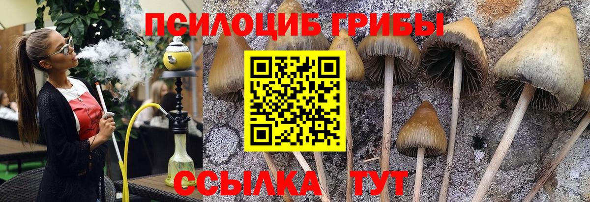 Ахтубинск  Псилоцибиновые грибы GOLDEN TEACHER  Вход с VPN 